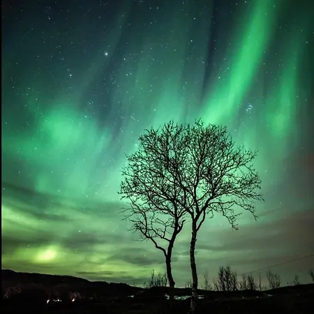 Large With Great Views