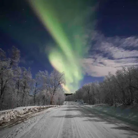 Apartment Large With Great Views Senja